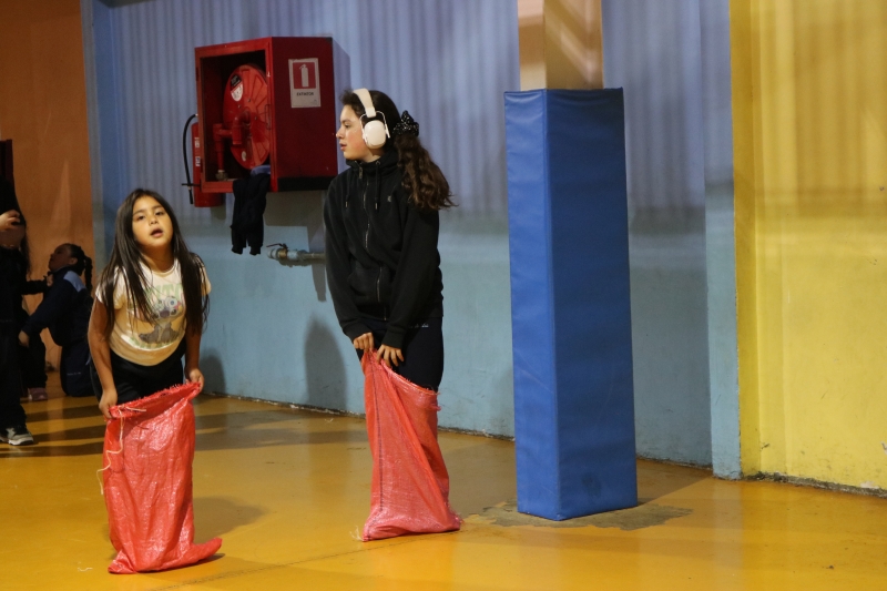 Día de la Actividad Física